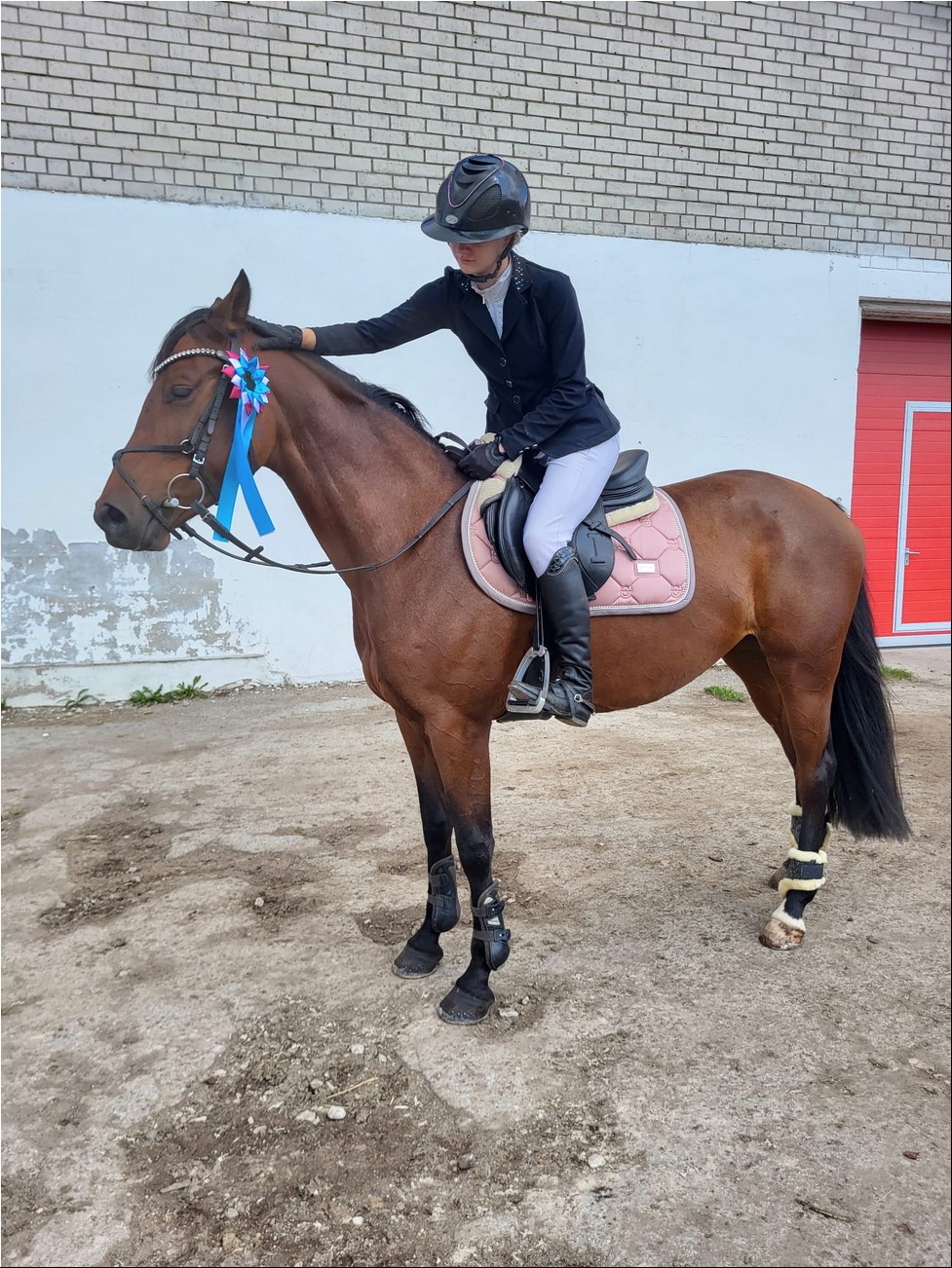 WhatsAppi pilt 2024-08-18 kell 13.10.24_720758dd.jpg