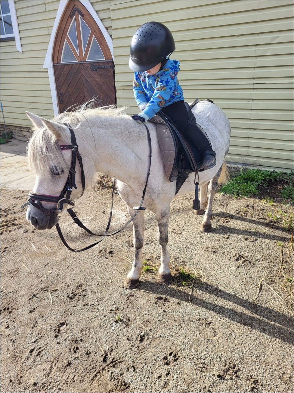 WhatsAppi pilt 2024-09-26 kell 19.20.25_7ac03ff8.jpg