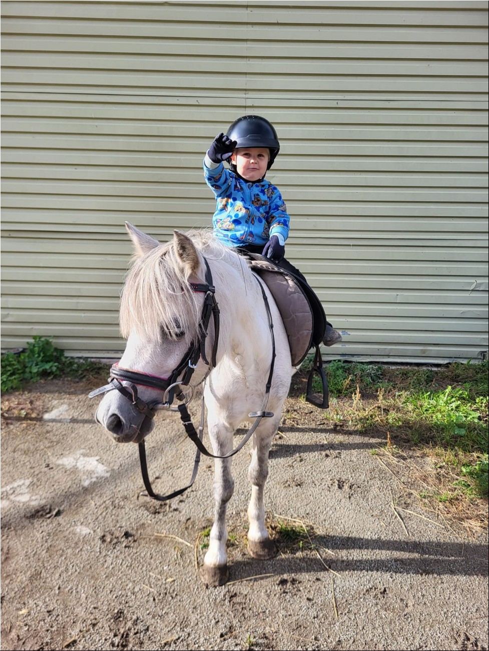 WhatsAppi pilt 2024-09-26 kell 19.20.53_130411d8.jpg