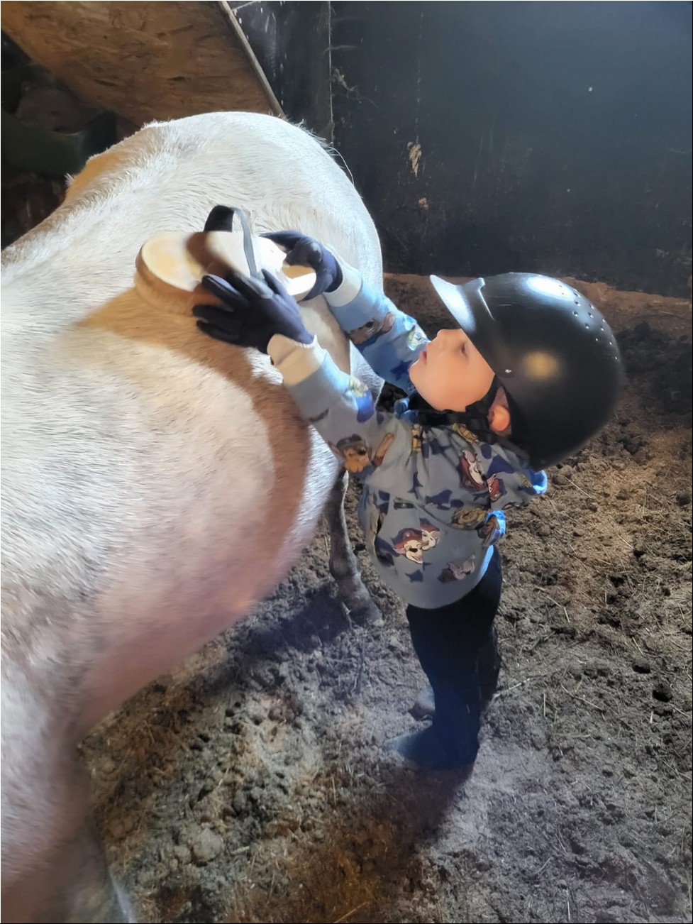 WhatsAppi pilt 2024-09-26 kell 19.21.25_54e45418.jpg