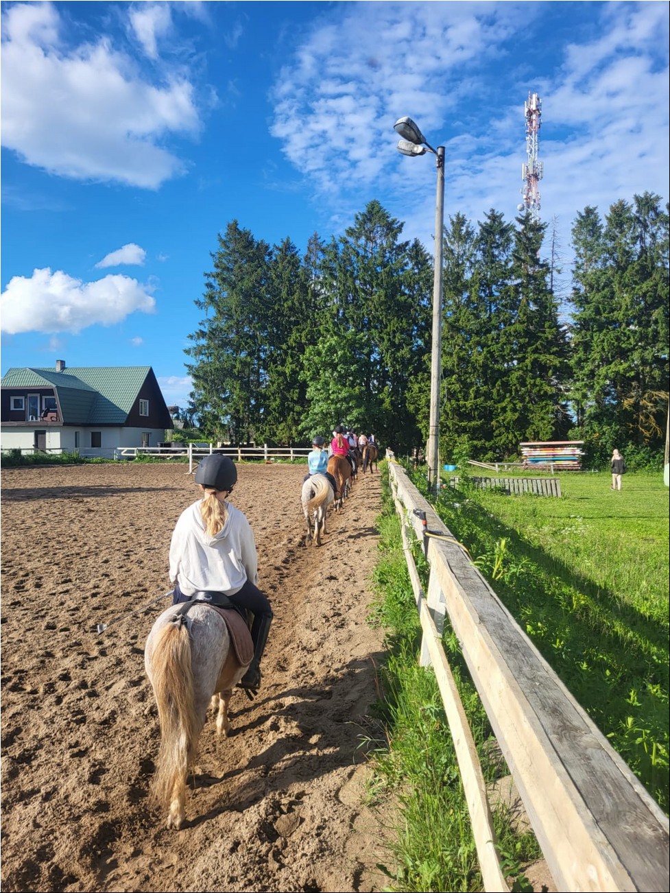 WhatsAppi pilt 2024-09-26 kell 19.25.27_f7da2079.jpg