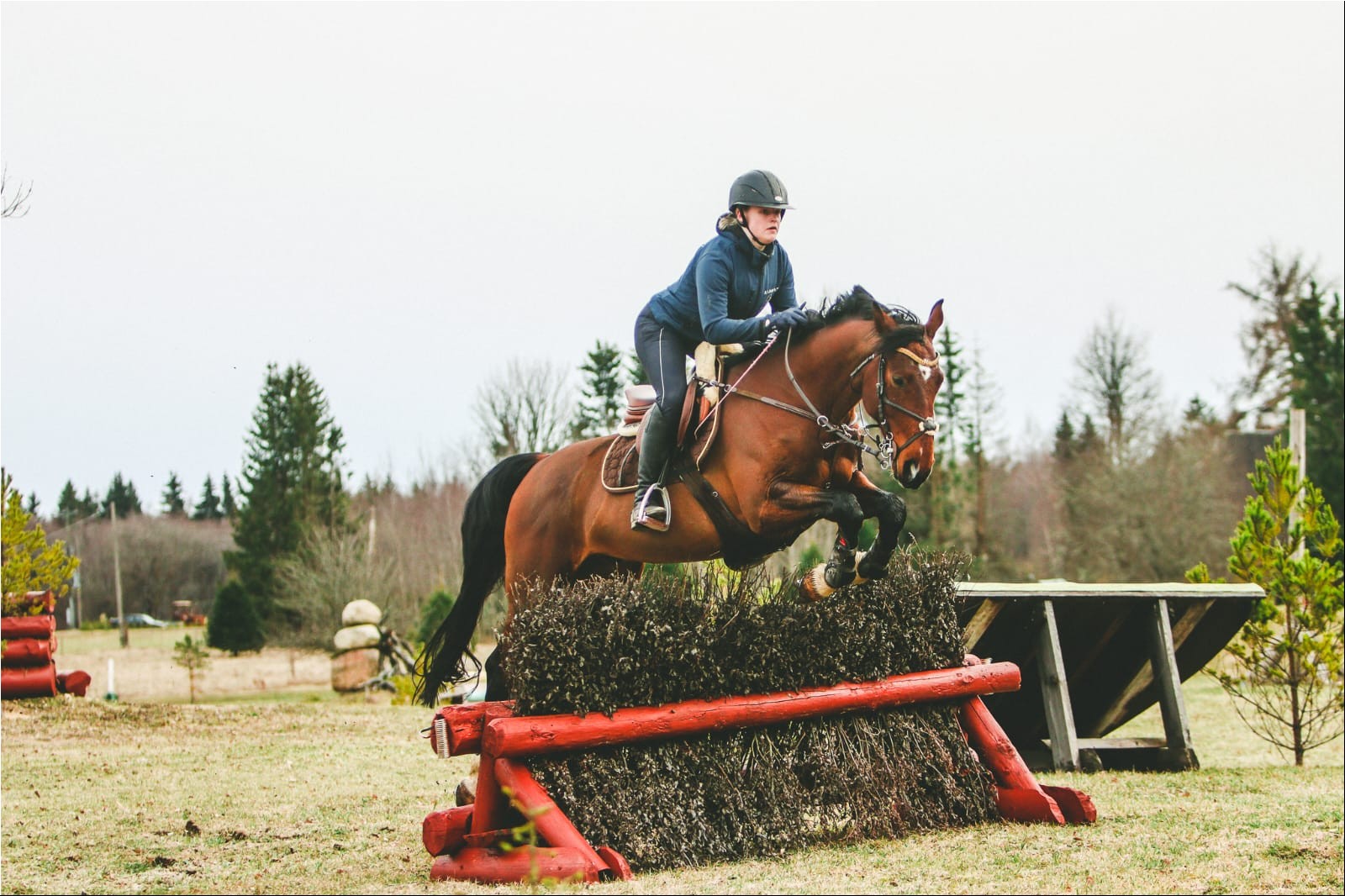 WhatsAppi pilt 2024-09-26 kell 19.26.30_297e8161.jpg