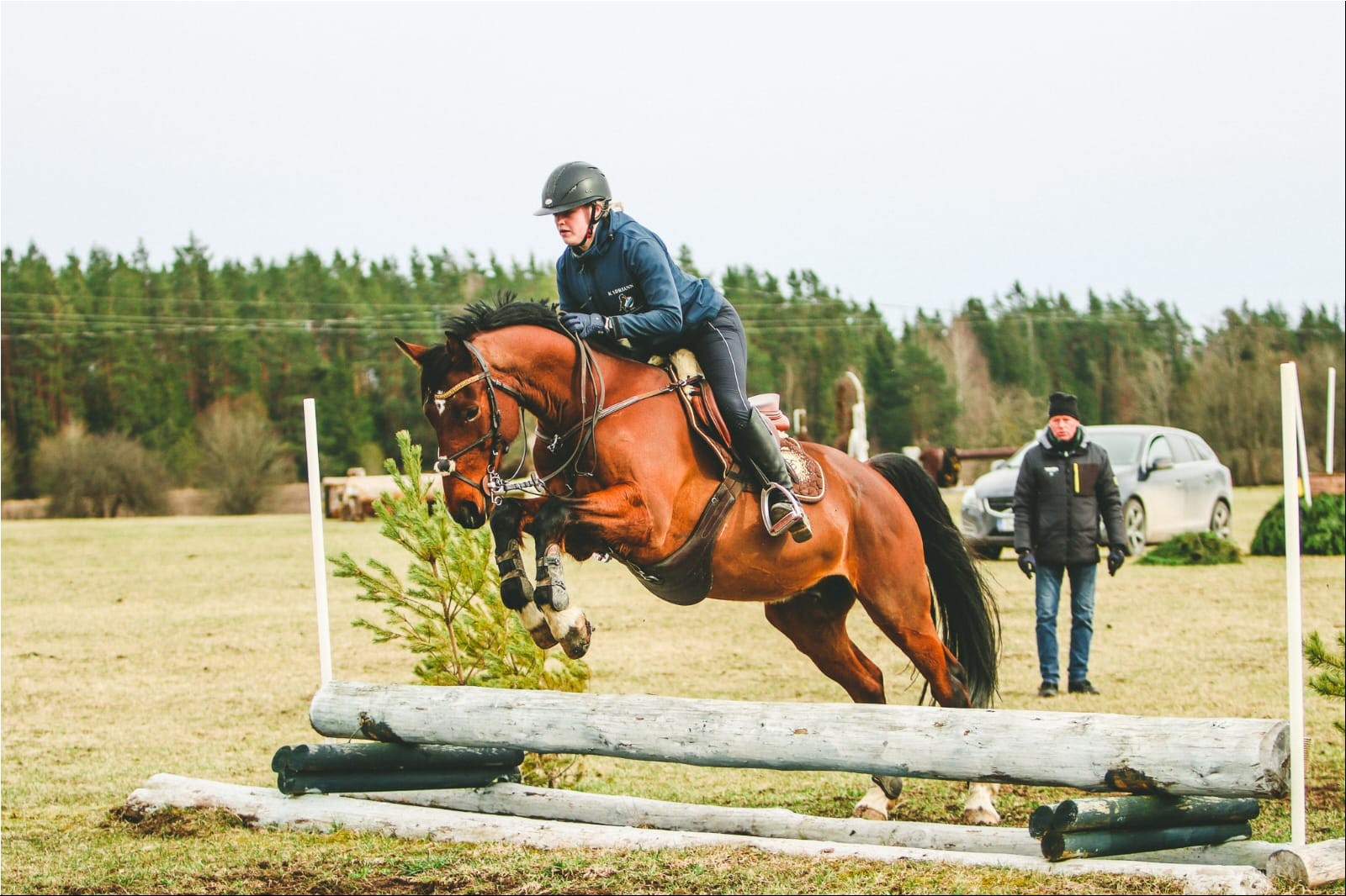 WhatsAppi pilt 2024-09-26 kell 19.27.21_62dc2832.jpg