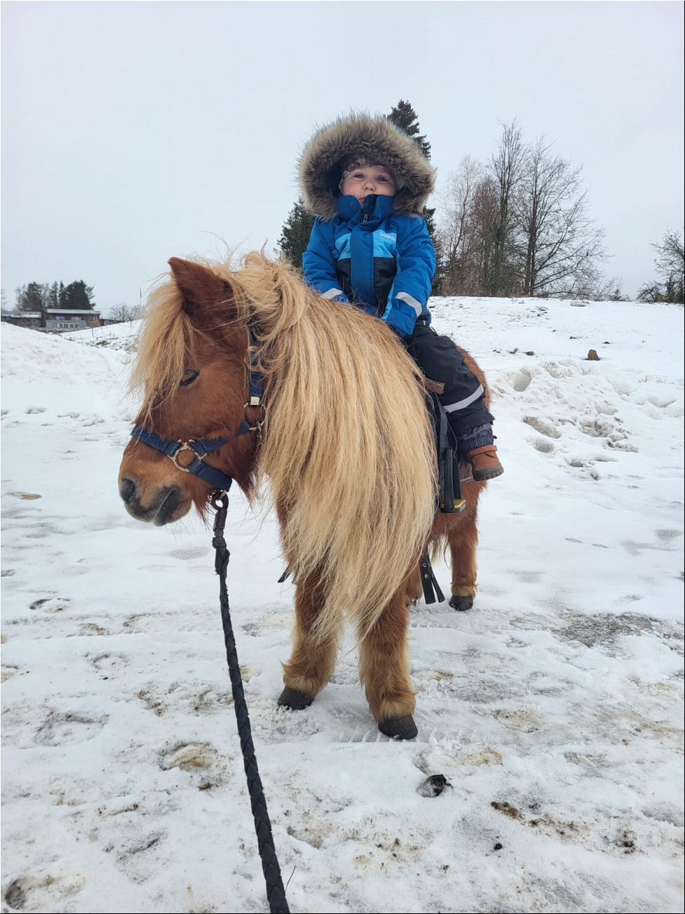 WhatsAppi pilt 2024-09-26 kell 19.27.56_e50ce318.jpg