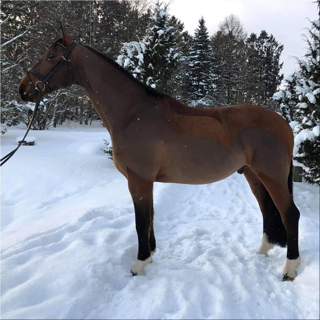 WhatsAppi pilt 2024-09-26 kell 19.31.49_0dae85ae.jpg