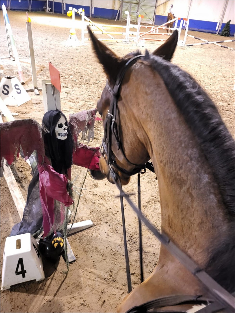 WhatsAppi pilt 2024-09-26 kell 19.31.49_232f87f9.jpg