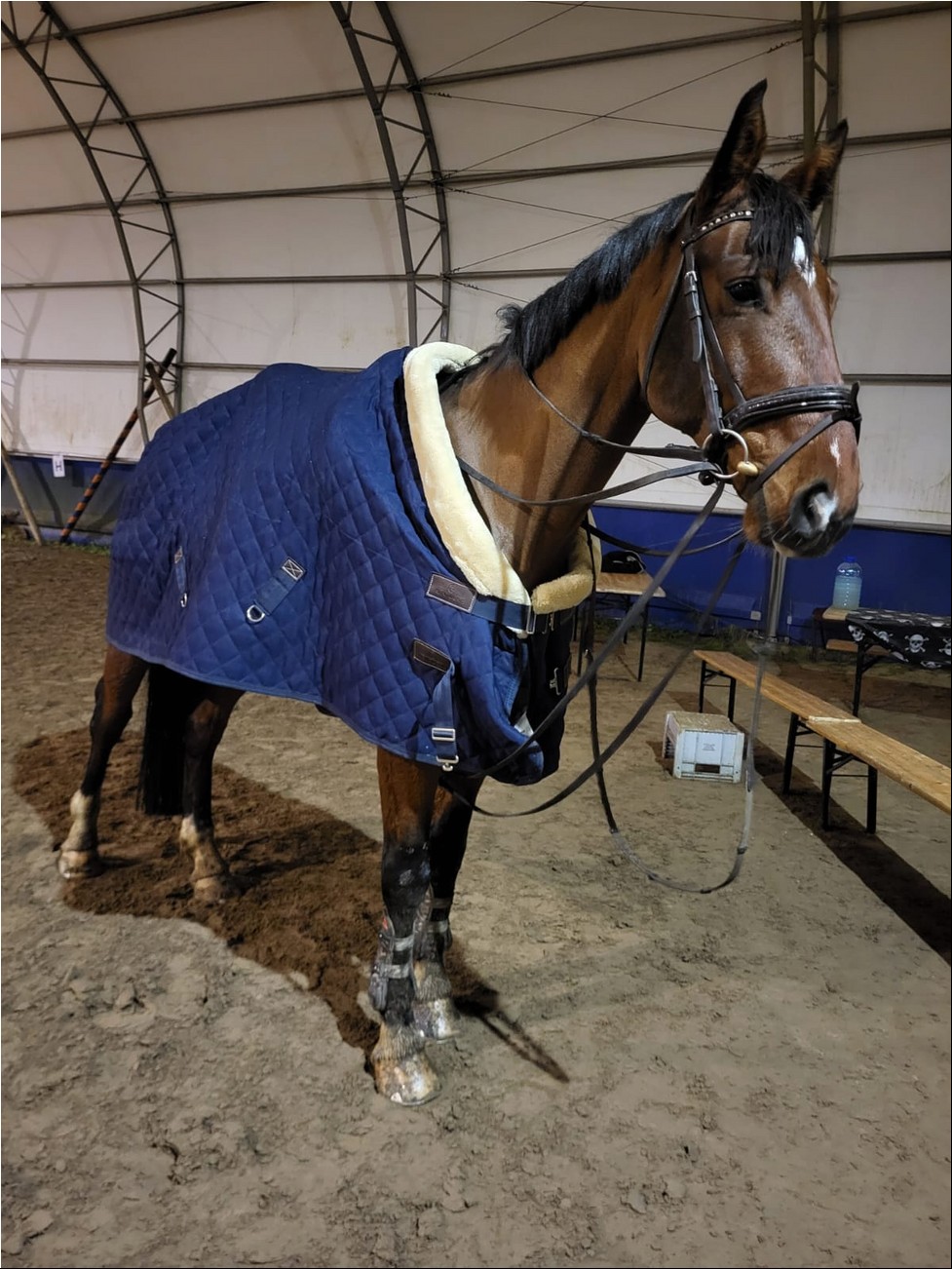 WhatsAppi pilt 2024-09-26 kell 19.31.49_a6feafdb.jpg