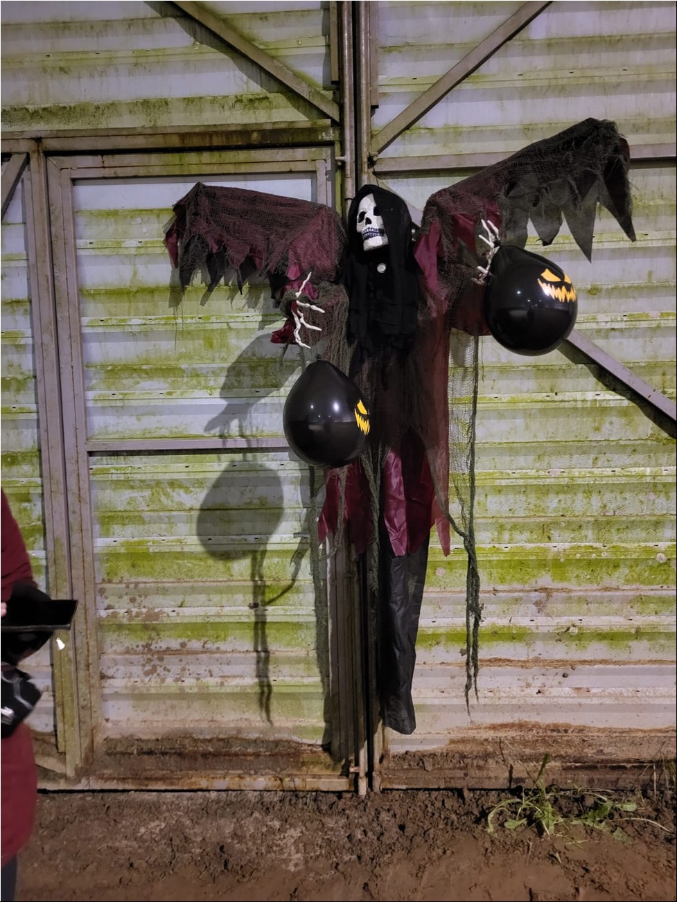 WhatsAppi pilt 2024-09-26 kell 19.31.50_42126d84.jpg