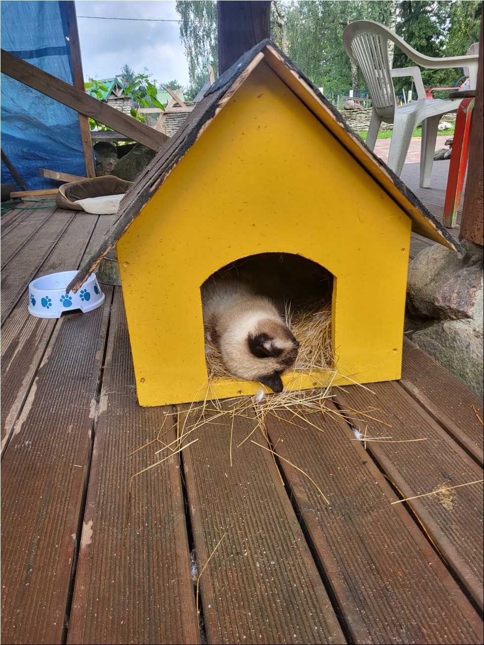 WhatsAppi pilt 2024-09-26 kell 19.31.51_ca6bcde4.jpg