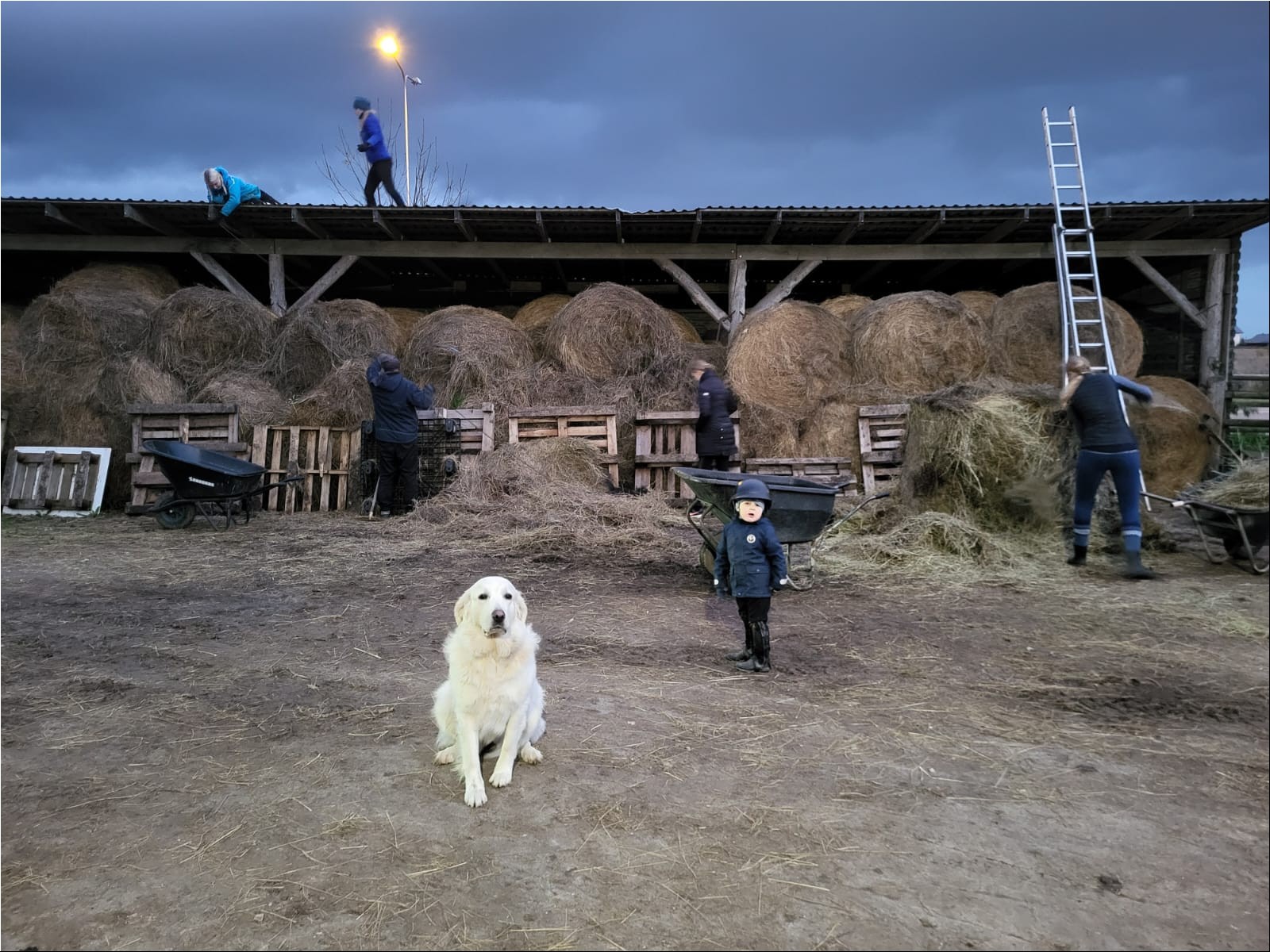 WhatsAppi pilt 2024-10-11 kell 18.47.28_db42943c.jpg