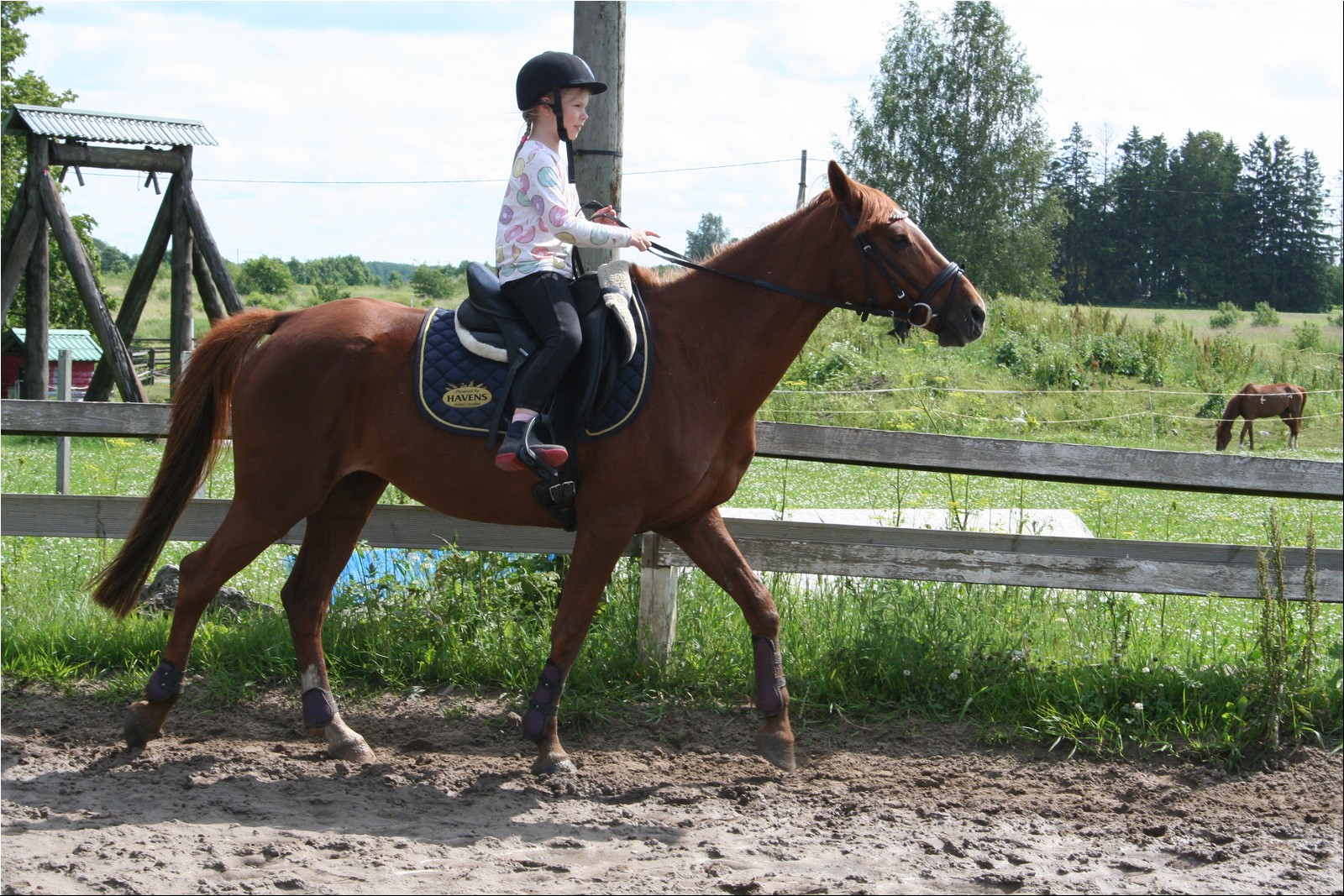 2025_07_laager (17).JPG