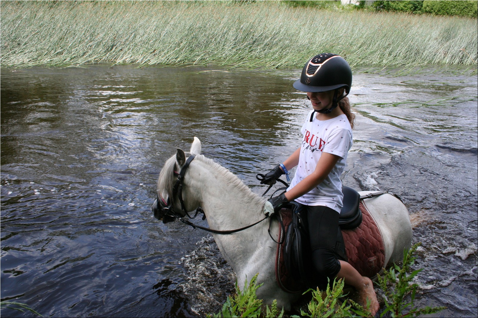 2025_07_laager (23).JPG