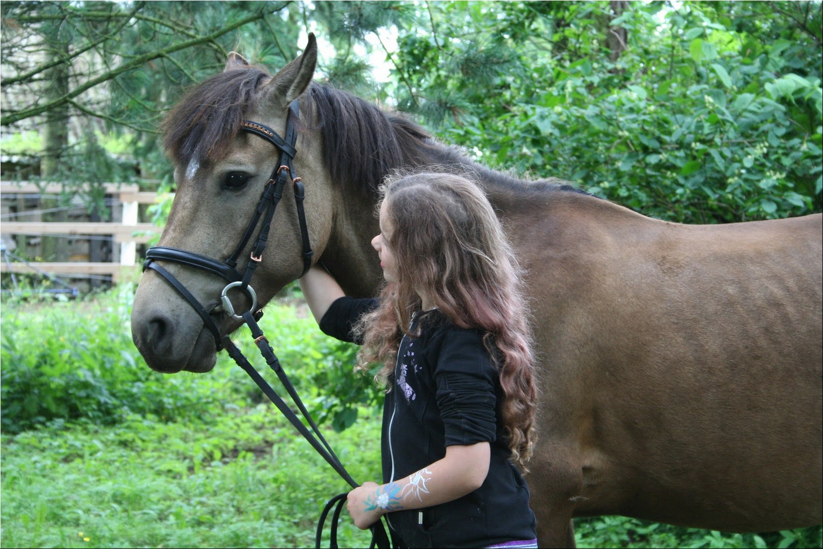 2025_07_laager (29).JPG