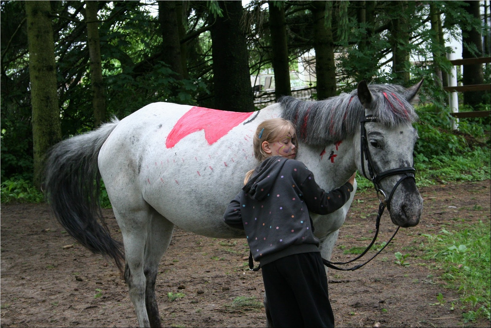 2025_07_laager (36).JPG