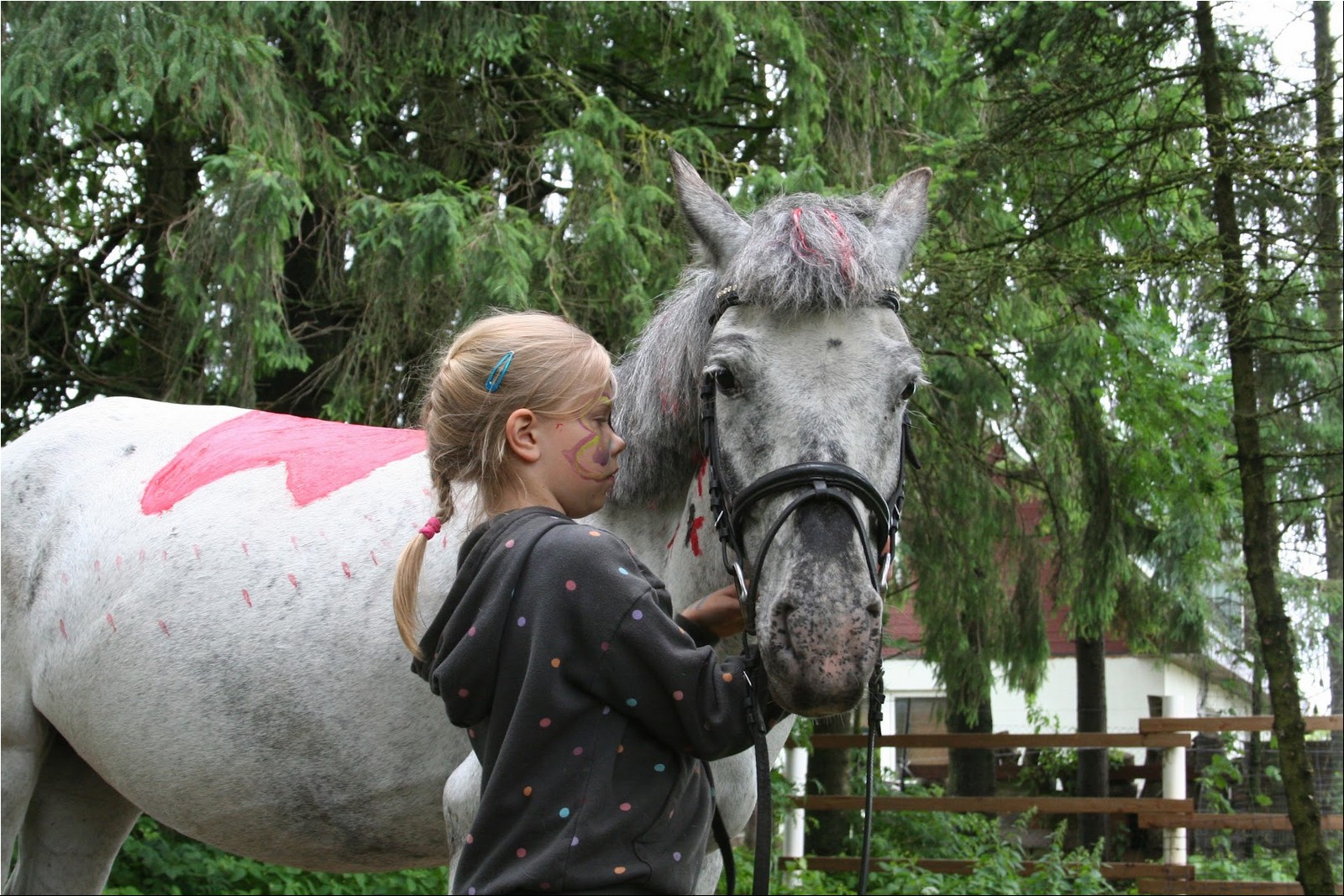 2025_07_laager (37).jpg