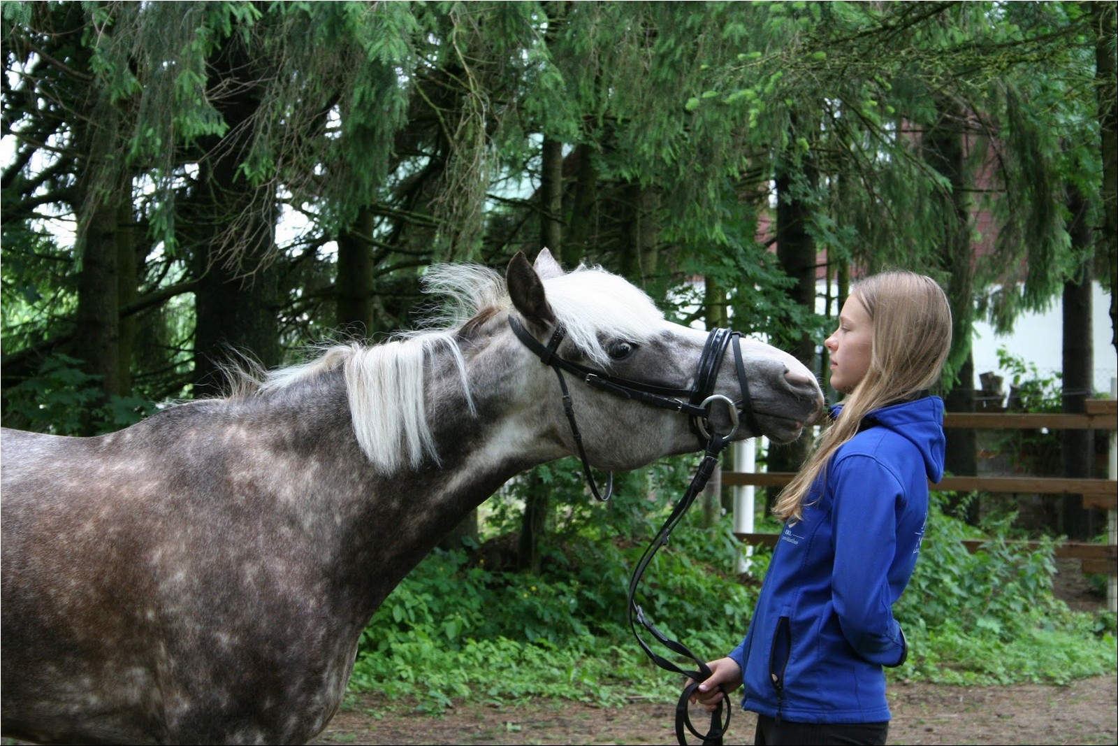 2025_07_laager (39).jpg