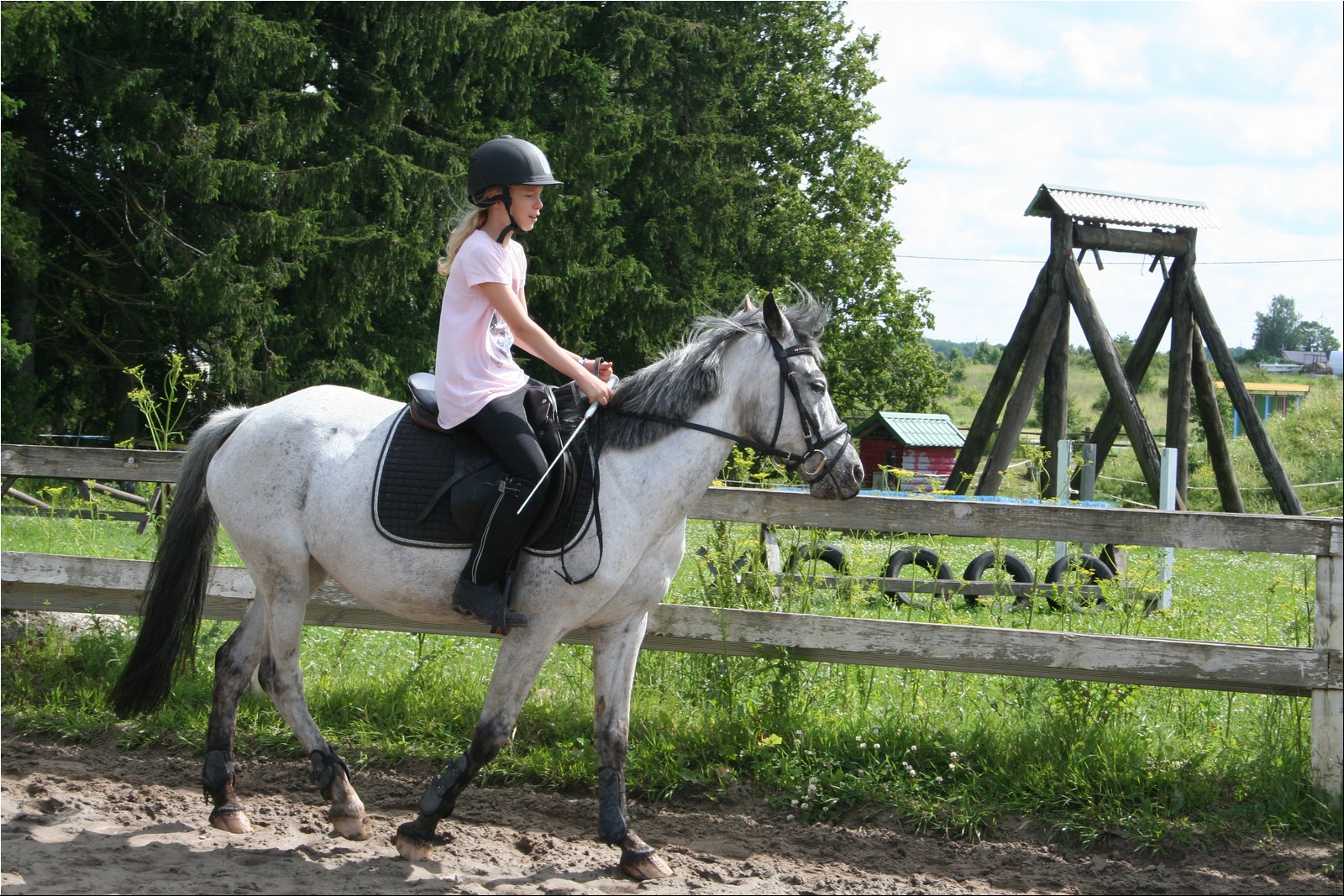 2025_07_laager (4).JPG