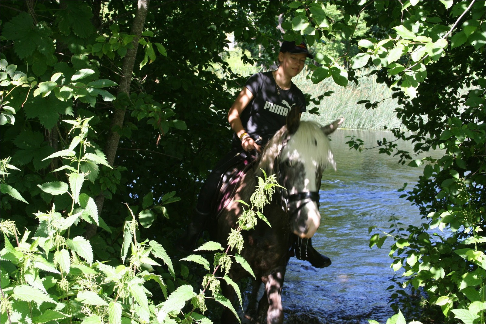 2025_07_laager (42).JPG