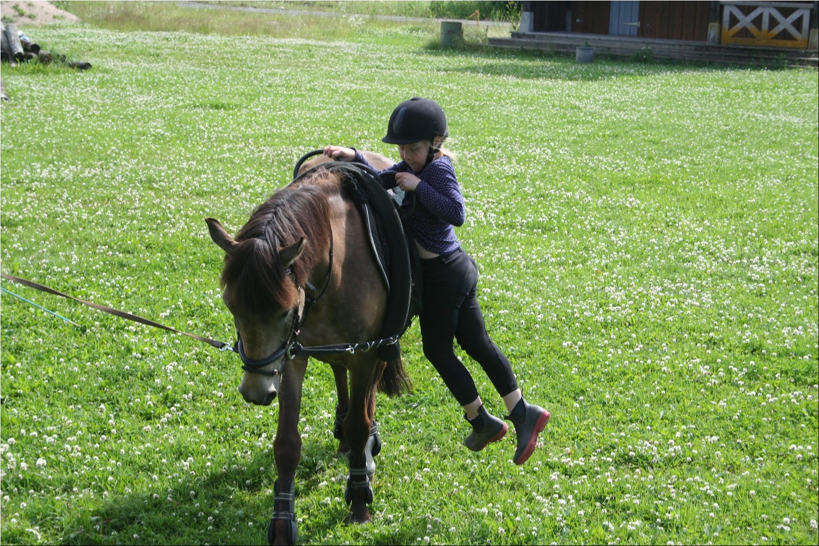 2025_07_laager (54).JPG