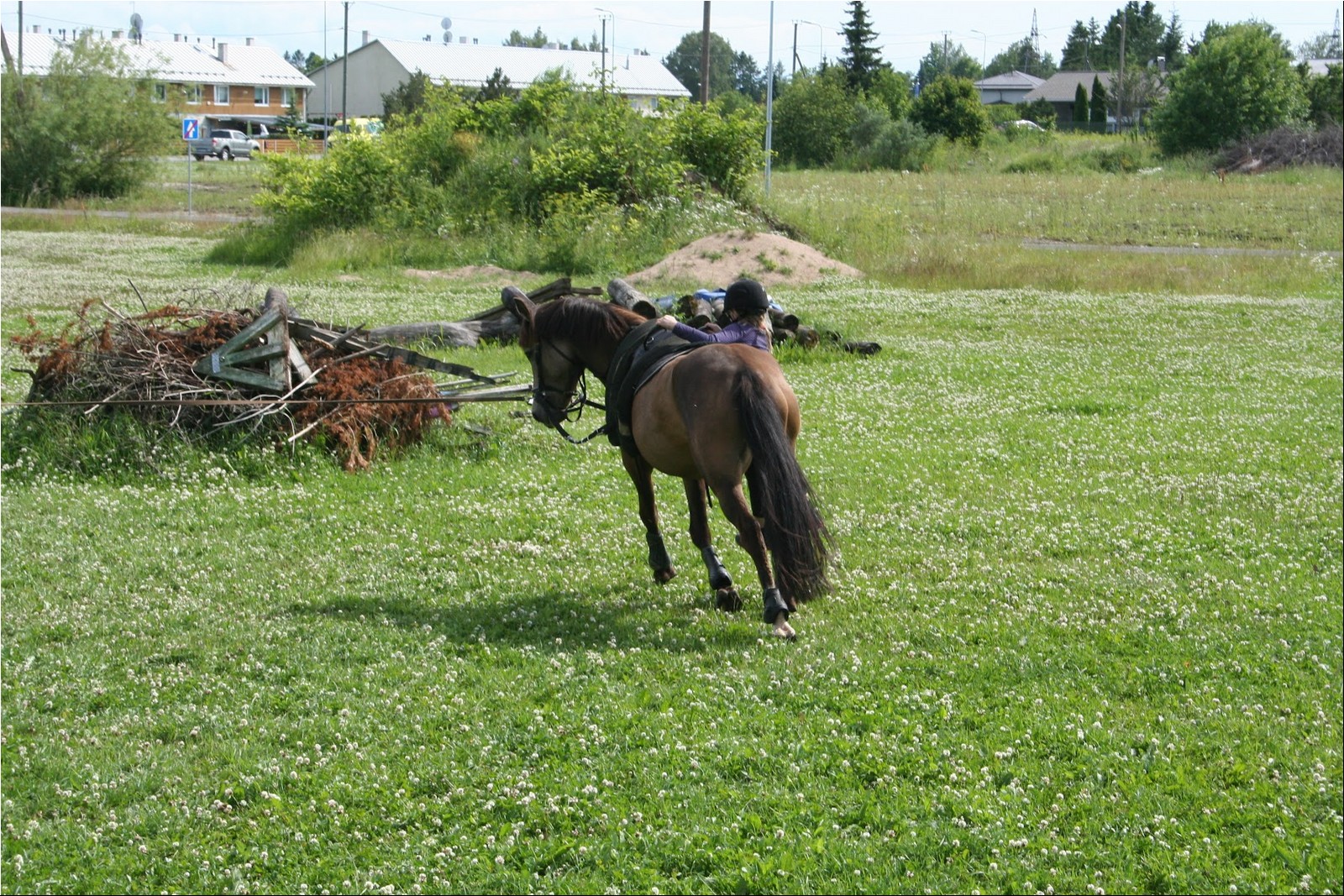 2025_07_laager (62).JPG