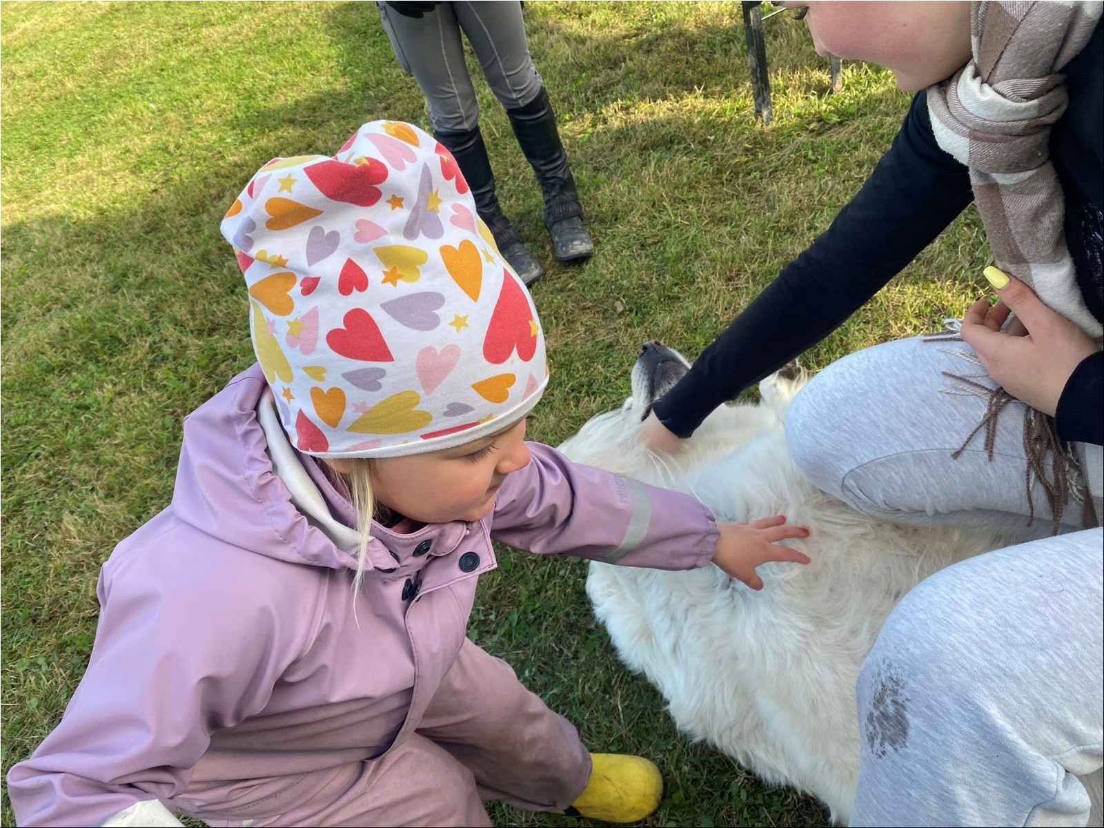 2025_10_perepaev (3).jpg