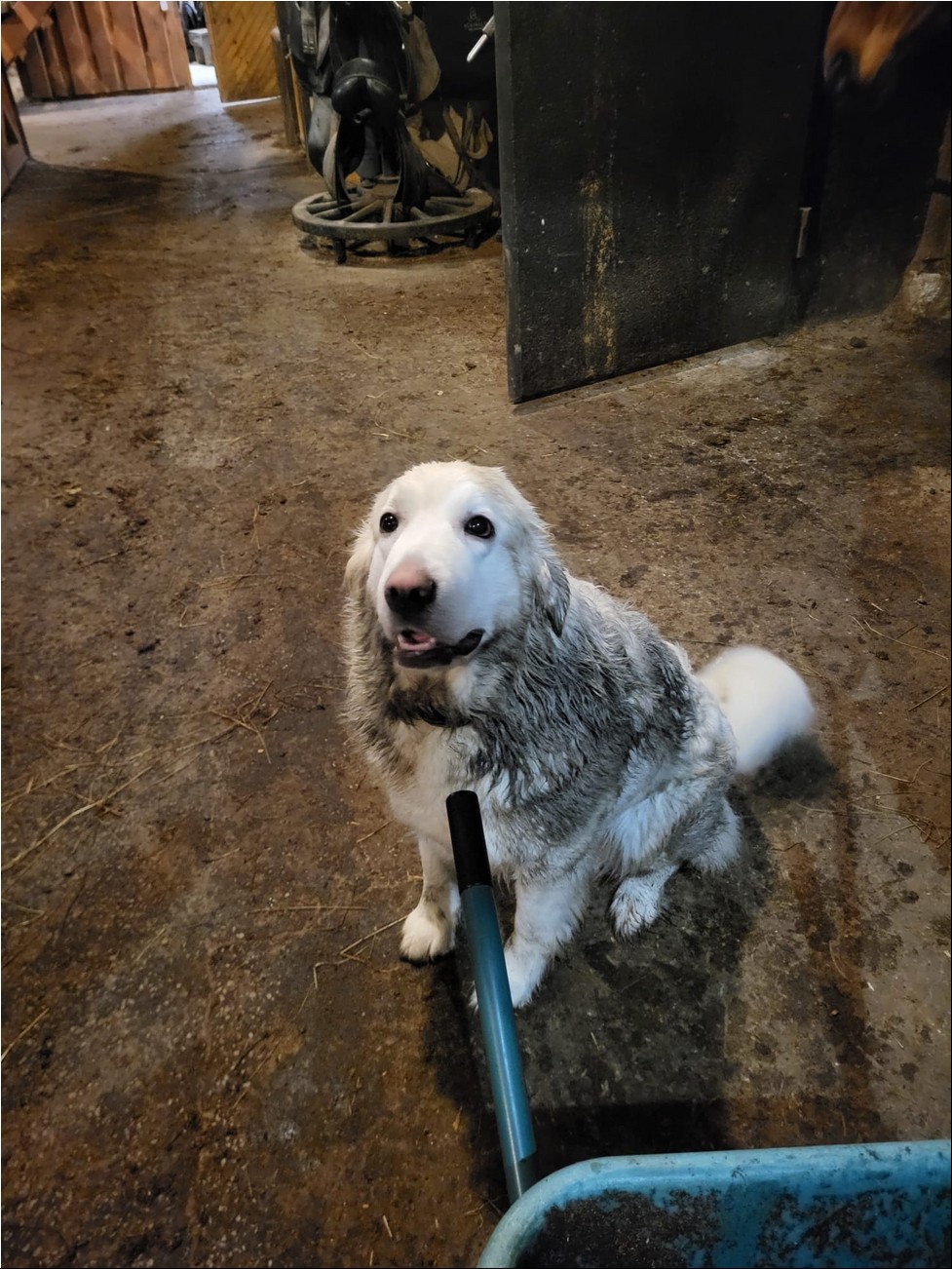 WhatsAppi pilt 2025-02-06 kell 18.48.50_b49716e6.jpg