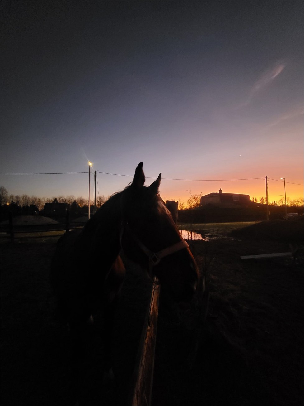 WhatsAppi pilt 2025-03-06 kell 18.47.38_00f6160e.jpg