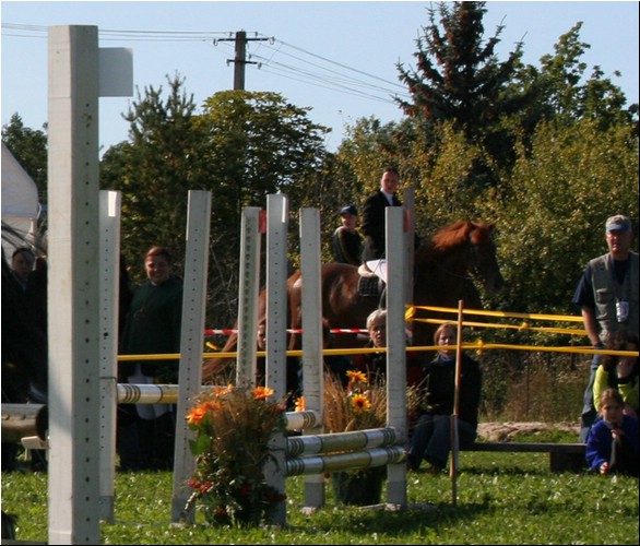 124.JPG