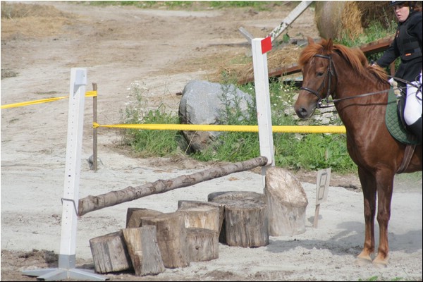 Lagedi Derby 2007 393.jpg