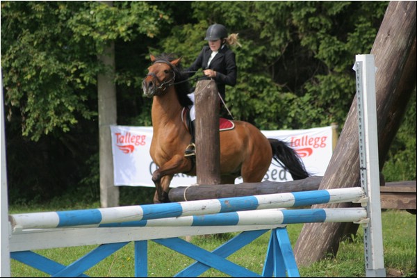 Lagedi Derby 2007 439.jpg