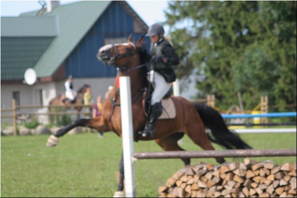 Lagedi Derby 2007 454.jpg