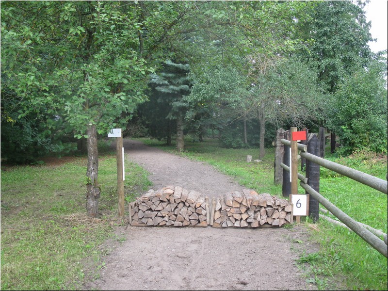 06.JPG