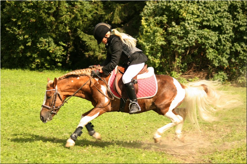 50_prix de rebala 668 (183).JPG