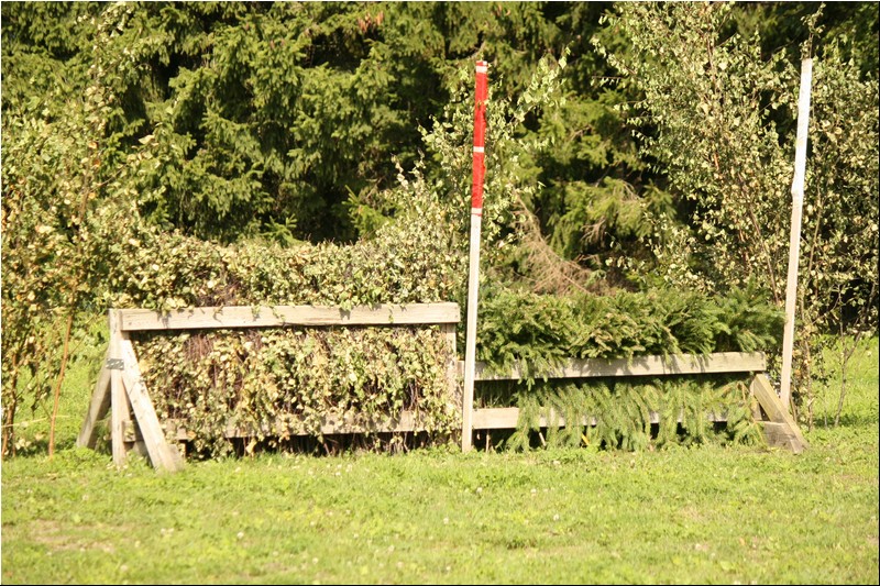 80_Lagedi Derby 004.JPG